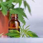 Dr. Hyman podcast: with Dr. Misha Kogan, Advances in Therapeutic Uses of Medical Marijuana