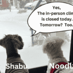 Snow day 2025 post