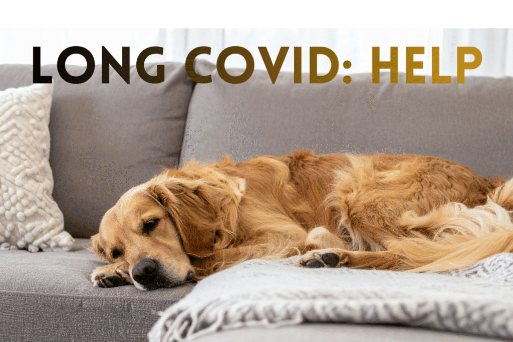 Long covid help