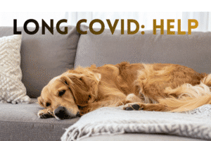 Long covid help