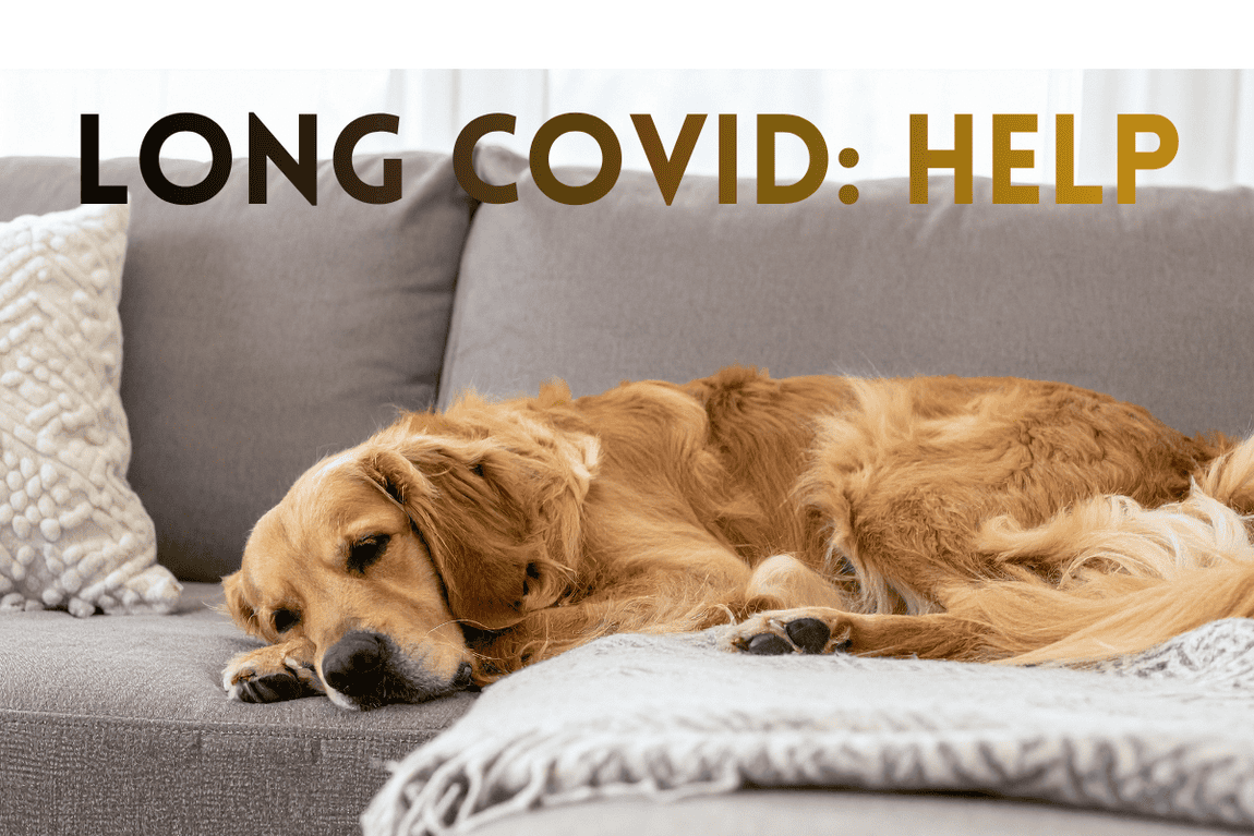 Long covid help